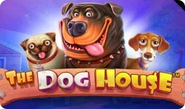 ReelsOn – The Dog House
